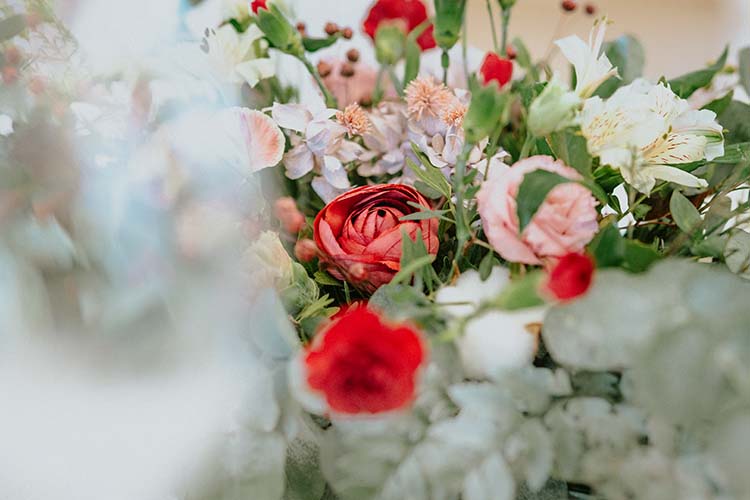 Zbliżenie na kwiaty