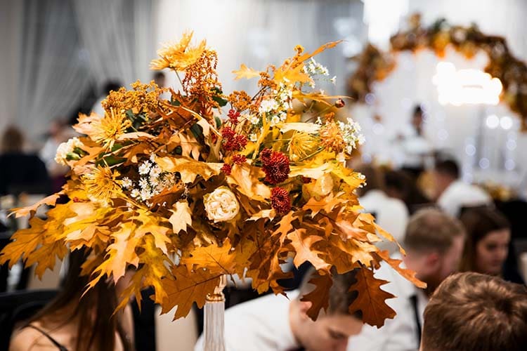 dom weselny monika (4)