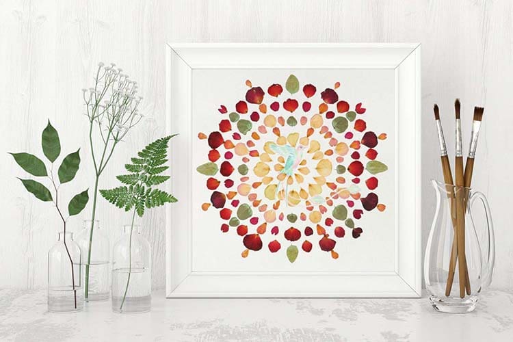 mandala akacjowy dwor 1